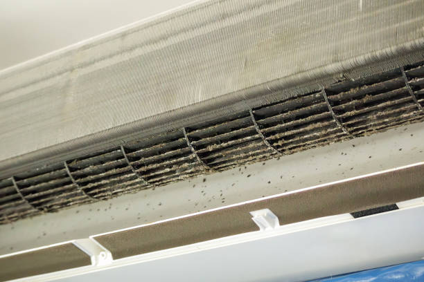 Best Ductwork Cleaning Services  in Monroe, GA